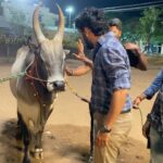 Hiphop Tamizha Instagram - Its always amazing to understand the thought process of an animal. Its a different feeling to be around animals. Bulls are magnificent creatures that have a great impact on your mindset. They teach you to be fearless, bold, aggressive but also to be loving and kind at the same time. It was an honour sharing the screen space with Raja as Marudhu in #anbarivu ❤️