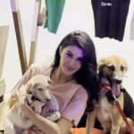 Jacqueline Fernandez Instagram - Had the best time celebrating all the amazing NGOs who work so tirelessly for the welfare of animals! Thank you so much for all you do and to all the people who came to support their work, this means so much to them and to the betterment of animal welfare! Always grateful!! 🤍🤍 thank you team @jf.yolofoundation and to all our sponsors @wagtailpark @petgascar_spa @monsterenergy @cravovaofficial @bayroutedining @lux_cozi_innerwear @jioworlddrive @jio_creative_labs