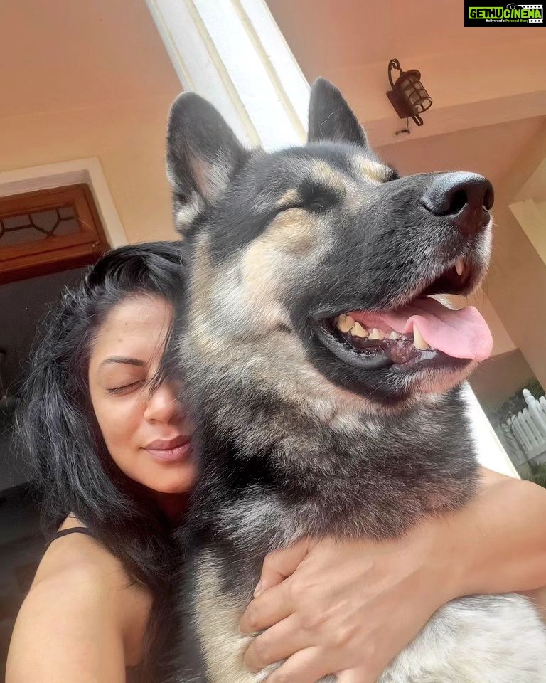 Kavita Kaushik Instagram - Back home cos this Gentle Giant missed his mommy n Daddy ! Thanks @kabirsadanand uncle for looking out for me always🐺 Raaka happy happy now ! Come home soon papa @justronnit It's Carry on Jatta 3 time !!! Have u guys seen the trailer? Film is 100 times funnier! In cinemas 29th june🥰 #carryonjatta3 #laughriot #comedy #movies #superhit #franchise #blessing