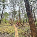 Kritika Sharma Instagram - 🍀 #jungle #nature #safari #girl #model #indian #travel #maharashtra Pench Tiger Reserve, Maharashtra