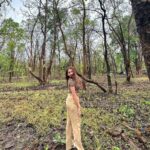 Kritika Sharma Instagram - 🍀 #jungle #nature #safari #girl #model #indian #travel #maharashtra Pench Tiger Reserve, Maharashtra