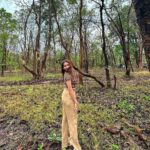 Kritika Sharma Instagram - Pench jungle camp @penchjunglecamp is my recommendation for an amazing jungle safari experience for all the animal lovers out there! Situated in MP border just two hours away from Nagpur is a perfect gateaway! The hospitality is amazing ! You can opt for variety of rooms my favourite was the luxury tent rustic yet classy with all the best amenities in the midst of nature ! Pench Jungle Camp