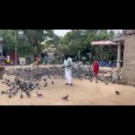 M. Sasikumar Instagram -