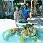 Malavika Krishnadas Instagram – 🐯💗 Tiger PARK Pattaya