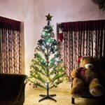 Malavika Krishnadas Instagram - Merry Christmas 🎄✨ . #christmas #christmasdecor #christmastree #christmastime #christmaslights #december2021