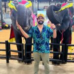 Malavika Krishnadas Instagram – Pattaya Spam ❤️🐘
.
#pattaya #nongnooch #sanctuaryoftruth #elephantshow #thailand #thaiculture