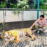 Malavika Krishnadas Instagram – 🐯💗 Tiger PARK Pattaya