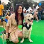 Maryam Zakaria Instagram - What a fun and cute event @rockycutiegolden enjoyed so much ❤️ . . #petfed2023 #petfed #justdogs #doglover #goldenretriever #dogsofinstagram #dogreels #reelsinstagram