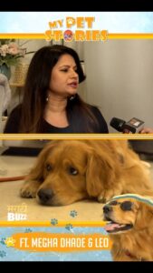 Megha Dhade Instagram - Pets विषयी @meghadhade ने दिला एक खास सल्ला. 

नक्की पाहा “My Pet Stories” फक्त अल्ट्रा मराठीबझच्या #youtubechannel वर.
..
..
#meghadhade #celebspet #petslove #petslovers #newreels #petsagram #instagood #instareels #entertainment #exlusive #ultramarathibuzz