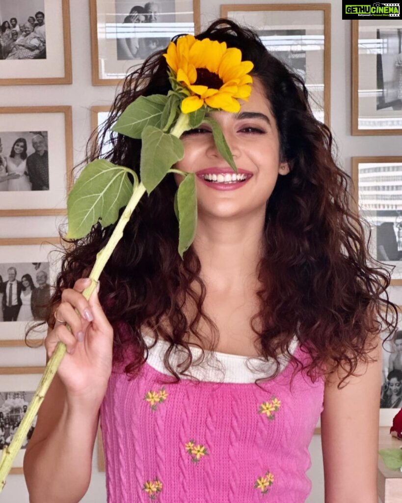 Mithila Palkar Instagram - Hi. My name is Sunflower and my profiles are…☺️🌻 #sunflowerslates #iykyk