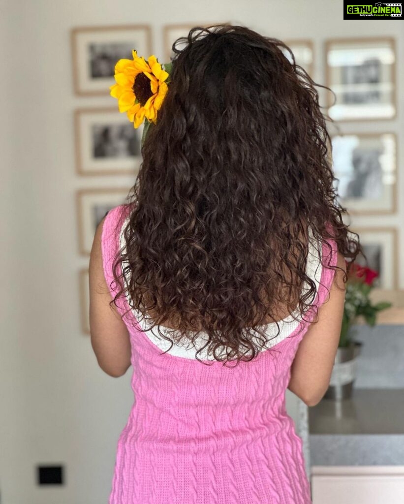 Mithila Palkar Instagram - Hi. My name is Sunflower and my profiles are…☺️🌻 #sunflowerslates #iykyk