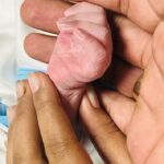 Mridula Vijay Instagram - God has blessed us with a lovely baby girl❤️ @yuvakrishna_official. Thank God and thanks a lot friends for your prayers and blessings 🥰