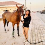Naira Shah Instagram - Met these cuties and definitely felll in Love with them! Have always been mesmerised by Horses, look how Beautiful they are😍😍! (One was injured hence seems sad😓) #nairashah#dubai#poloclub#lovehorses#we#cuties Al Habtoor Polo Club