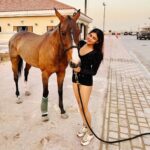 Naira Shah Instagram - Met these cuties and definitely felll in Love with them! Have always been mesmerised by Horses, look how Beautiful they are😍😍! (One was injured hence seems sad😓) #nairashah#dubai#poloclub#lovehorses#we#cuties Al Habtoor Polo Club