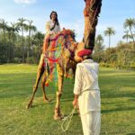 Neha Sharma Instagram – 🐪😂💫💕 Thankful for the time we have had at @amanbagh 

#amanbagh #TheSpiritOfAman #AmanWellness #AmanFoodie #amanadventure #camelride #incredibleindia #rajasthan #aman @aishasharma25