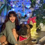 Nusrat Jahan Instagram - Christmas Evening wishes ♥️ MERRY CHRISTMAS 🎄