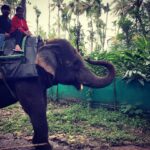 Pallavi Ramisetty Instagram - What a Majestic Creation of God!! -- Meera
