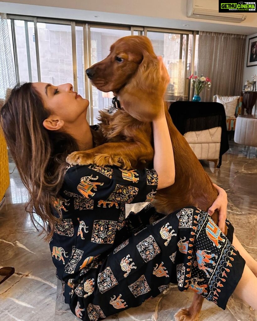 Poonam Dhillon Instagram - Birthday Boy!! Peanut Turns 2 years !! Still a puppy and adorable Baby ,,, brings so MUCH JOY in our lives❤️🥰🙏 . So Blessed and happy to have such a loving adorable Bachaa!!