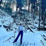 Pragya Jaiswal Instagram - Strawberry trail at Wildflower 🍓🌲❄️ Outfit - @ikichic_official @zabellaofficial Styled By - @anshikaav Team - @roshiijain Styling Intern - @bhatia_tanisha