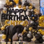 Prateik Babbar Instagram - & just like that my son is 5 years old‼️ happy 5th birthday to my handsome baby boy‼️❤️♾️ #chico & i wanna thank all our friends like family for showing up with unconditional love & presents.. & making “chico’s big 5” one hell of a party‼️.. y’all know who y’all are ❤️.. we love & appreciate y’all from the bottom of our hearts‼️❤️ special shoutout to “chico’s doggy cake mama” @puplords_barkery - “we love you girl.. you da bomb dot com”‼️❤️ p.s. - “my big boy still be the handsomest.. get used to it”‼️❤️ #chico #MySon #MyBigBoy #MyBabyBoy #MyBigBaby #MyBigBabyBoy #big5 #woof ❤️♾️ Chico's Home