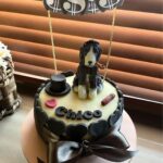 Prateik Babbar Instagram - & just like that my son is 5 years old‼️ happy 5th birthday to my handsome baby boy‼️❤️♾️ #chico & i wanna thank all our friends like family for showing up with unconditional love & presents.. & making “chico’s big 5” one hell of a party‼️.. y’all know who y’all are ❤️.. we love & appreciate y’all from the bottom of our hearts‼️❤️ special shoutout to “chico’s doggy cake mama” @puplords_barkery - “we love you girl.. you da bomb dot com”‼️❤️ p.s. - “my big boy still be the handsomest.. get used to it”‼️❤️ #chico #MySon #MyBigBoy #MyBabyBoy #MyBigBaby #MyBigBabyBoy #big5 #woof ❤️♾️ Chico's Home