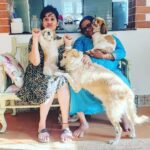 Ranjini Haridas Instagram - Just a regular day at the Haridas’s !!!😬 #ourbabies #unconditionallove #family #whoismissing