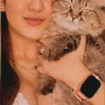 Roshmi Banik Instagram – A meow-ning to my #roshfam 😚
.
.
.
.

.
#catsofinstagram #kittens #roshmibanik #throwbackthursday #tbt #love #live #laugh #trending