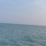 Roshni Prakash Instagram - Life recently ☀️🐚🏝️ Pic 1 : A thirst to explore lead me to this place. Absolute bliss. 📍Somewhere between Nagercoil and Keeriparai. Pic 2 : Post pack up on our way to the hotel, decided to play with tides. Best decision ever. Pic 3 : My pretty amma was my home away from home. ❤️ Pic 4 , 5 , 6 : Made some new friends. Meet Rudra, Charvi and Maha. What beautiful eyes man! Pic 7 : Rudra showed me where & how to chill like a boss. Pic 8 : Tanned and happy. I blame the beach. Pic 9 : Woke up at 4 am on my only off day to witness this. Worth it. ✨ Pic 10 : Kanyakumari serving me with insane sunset views. I’m sold. 🫶 Kanyakumari-கன்னியாகுமரி
