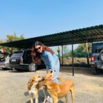 Rukshar Dhillon Instagram - Out and about☀️ With some new friends and struggles to get a good picture☺️(swipe till end to see) 📸- @kasi_visva_sk Hyderabad