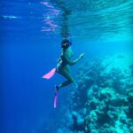 Samyuktha Hegde Instagram - Anyone seen nemo? #underwater #snorkeling #islandgirl