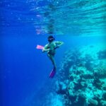 Samyuktha Hegde Instagram - Anyone seen nemo? #underwater #snorkeling #islandgirl