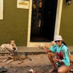 Sanchana Natarajan Instagram - It’s a doggos world and i am definitely having fun living in it 🥲❤️ #dawgs #jollyguyz