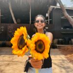 Sanchana Natarajan Instagram - Flowers for you.🌻