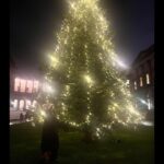 Sanusha Instagram - Jingle all the way🤶🎄❤️ Merry Christmas my loved ones..🤗 May the spirit of Christmas bring you and your family - hope, love, and happiness 😍 Be Blessed 😘 #merrychristmas #christmastree #christmasinuk #san #happy #christmasspirit #joy #happiness #love #togetherness #wonderfultimeoftheyear #christmass2022 United Kingdom