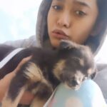 Sayani Gupta Instagram - 🐶 series cont. Sikkim mornings be like.. And that Tail 🤓