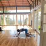 Shenaz Treasurywala Instagram - Pool, yoga, ayurvedic meals and massages! Just another day in Kerala ❤️ Have you ever stayed at an Ayurvedic Resort? Which is your favourite in india? @spicetreewellness Munnar, Kerala, India.