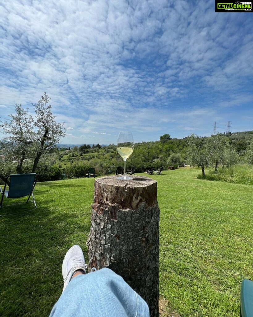 Shonali Nagrani Instagram - Under the Tuscan sun :) #solotrip #vacation #italy #tuscany #wine #vinyards #tyscanvinyard #sunshine #
