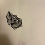 Sid Sriram Instagram - New demos, old ideas, rehearsal recordings, new sketches and nature as it exists in the suburbs