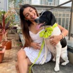 Simran Budharup Instagram – Obsessed With @hiputee ‘s Pet Products 😍
@taxi_the_pup Is Loving the Comfort And Quality Of Their Bed, Toys, Jackets And Leash Combo. Highly Recomended For All Pet Owners Out There🐶❤️

#hiputee #wherepetsarefamily #bestpetproducts 

#dogsofinstagram
 #puppy 
#dogproducts