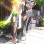 Sneha Sreekumar Instagram - 🐘😍