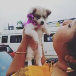 Sneha Sreekumar Instagram - പോപ്പി 😍😍😍 @kovooraaan #petlover #minipom