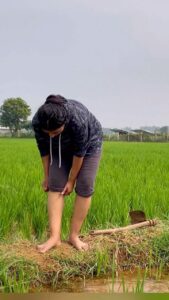 Snehan Instagram - Watch the full video in #snehamtalks youtube channel la parunga 🤞🏻🥰

Like share subscribe to sneham talks 

#food #foodie #foodphotography 
 #foodstagram #healthyfood #instafood #foodies #foodlover #foodpic #foodography #foodbeast #healthyfood #foodart #foods #foodlove #foodblog #foodgram #foodlovers #foodtruck
