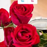 Soumya Seth Instagram - Have you ever grown roses from the stem cutting? If yes, tell me how was your experience. What did you do wrong? What did you do right? Would love to read the comments. Great Falls, Virginia