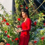Sreeleela Instagram - 🌹Found a minute to slow down and enjoy the little things in life 🌹 Pretty candid sorry about the poor quality 👀 :p
