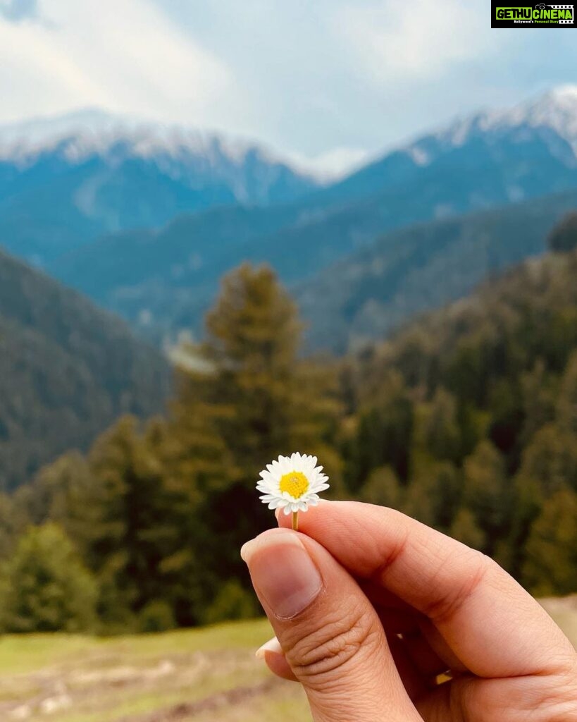 Srishty Rode Instagram - Embrace the winding roads and let the beauty of Gulmarg unfold before you, for it is in the journey that the soul finds solace and the heart discovers serenity #kashmir #gulmarg ❤️