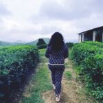 Veena Nair Instagram - പ്രകൃതിയുടെ സൗന്ദര്യം മൊത്തം ആസ്വദിച്ചു കൊണ്ട് താമസിക്കാൻ പറ്റിയ ഒരു സ്‌ഥലം അങ്ങ് വാഗമണ്ണിൽ thank you somuch @cliffinn_vagamon for d superstay and food ❤️.thank you Jinto💕 Clifin Vagamon contct no +91 98472 73761(jinto) . . . #travel #solotravel #vagamon #clifinvagamon #happyvibes #soul #happiness #vibeplace #travelblogger #travellover #reelsinstagram #reelstofeelit #instareels #happysoul❤️ #ilovemyself #ambadeedeamma #actress #malayalamfilimindustry #malayalee