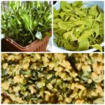 Vennela Kishore Instagram - Balcony Farming😀😀.. First Harvest tho Falakura Fesara Faffu🤣