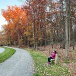 Vidhya Instagram - Another fall, another turned page…🍁🍂