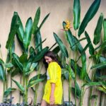 Vithika Sheru Instagram - Add Life To Your Days, Not Days To Your Life 💛 Bali, Indonesia
