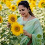 Anasuya Bharadwaj Instagram - Some romancing 💛 with the 🌻 Saree : A present from Mommy dearest @anuradha_khasba 😘 Blouse&Styling : @sreemukhi.mekala 🎩 Jewellery : @aarni_by_shravani ✨ PC: @teamartviewworks 🥰